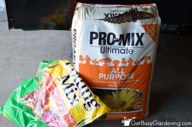 Soil Gnats Infest Open Bags Of Potting Soil