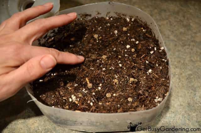 Winter Sowing Seeds