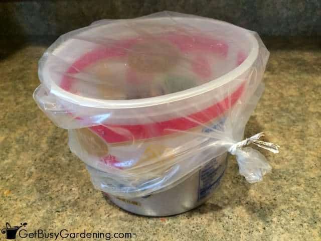 Winter Sowing Container Covered With Plastic