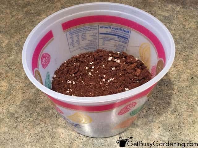 Winter Sowing Container Without Lid