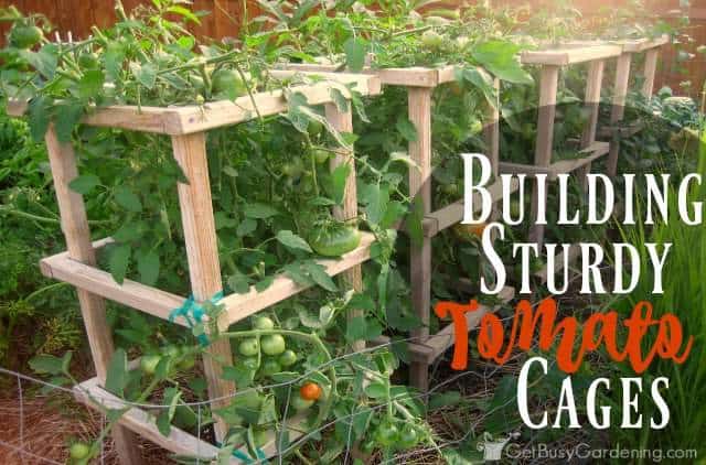 Building sturdy tomato cages