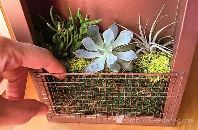 Check the soil before watering