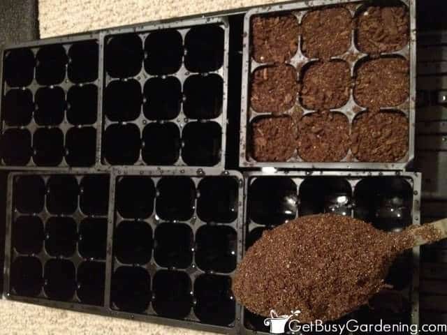 Filling Seed Starting Cells With Dirt