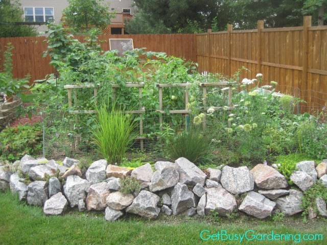 2011 Vegetable Garden