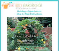 Step-by-Step instructions for How To Build a Squash Arch!