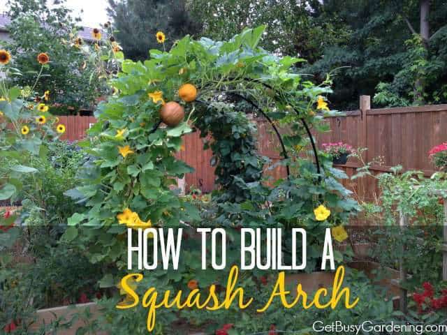 How To Build A Squash Arch