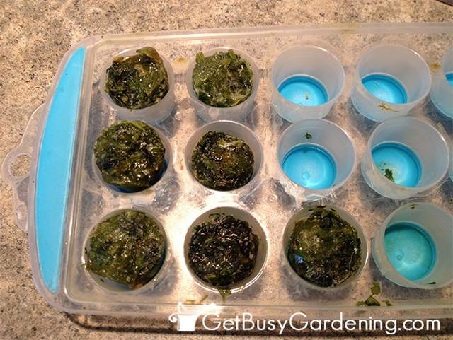 Freezing Herbs For Later Use