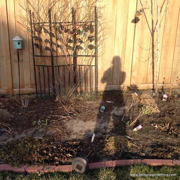 My shadow in the garden - taking it all in