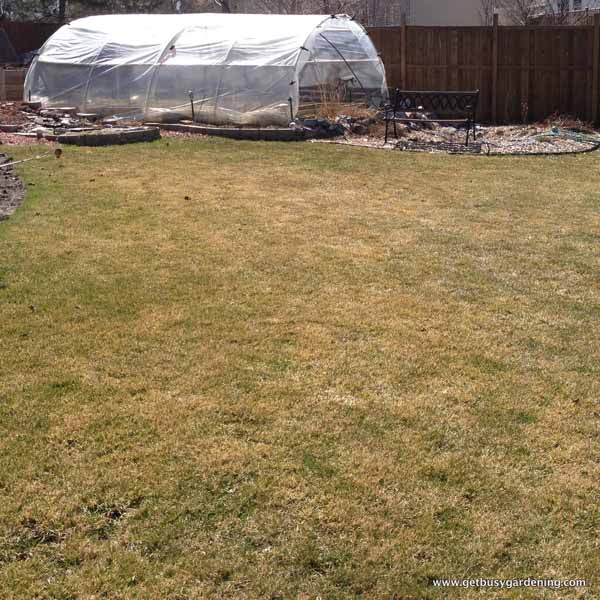 Rain garden and greenhouse in the distance