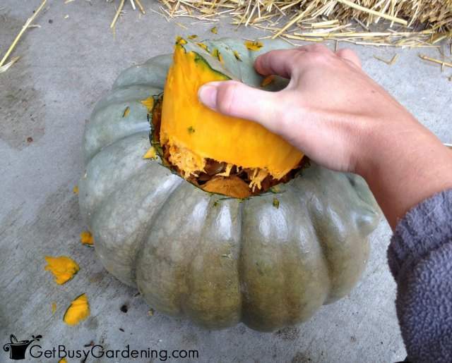 Remove The Top Of The Pumpkin