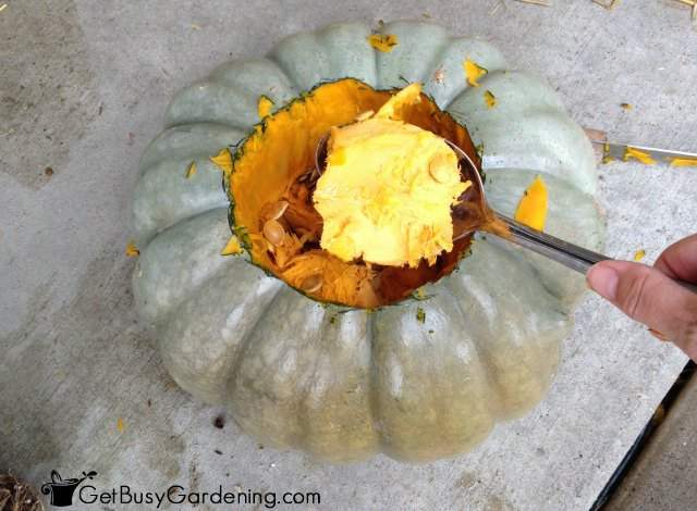 Scoop Out Pumpkin To Make Room For Mum