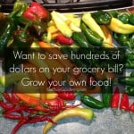 saveHundredsOnGroceries