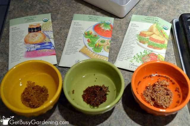 Soak Seeds For Sprouting Overnight