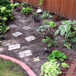 Shade Garden Tour