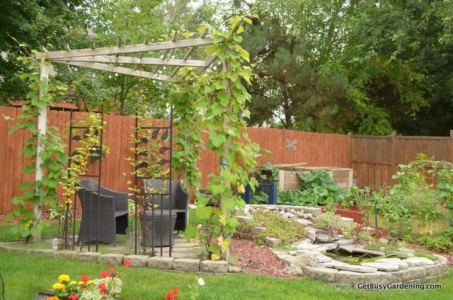 Pond and Pergola