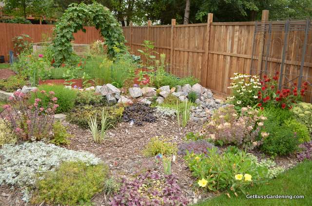 Vegetable and Rain Gardens