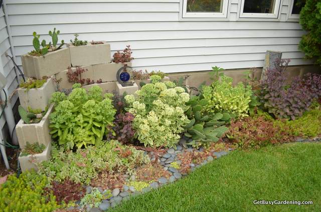 Zen Succulent Garden