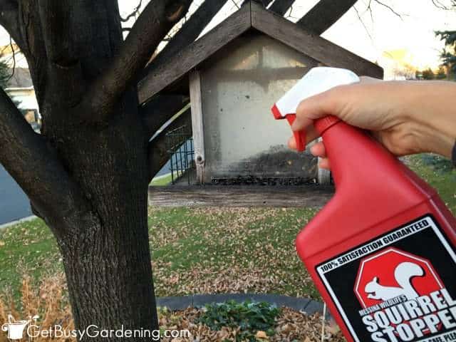 Squirrel Stopper Spray On Bird seed
