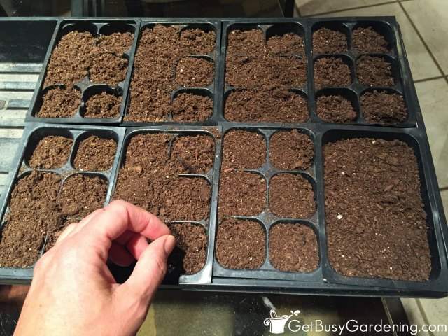 Starting Seeds Indoors
