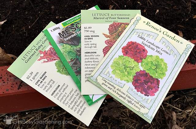 Check seed packets for lettuce planting instructions