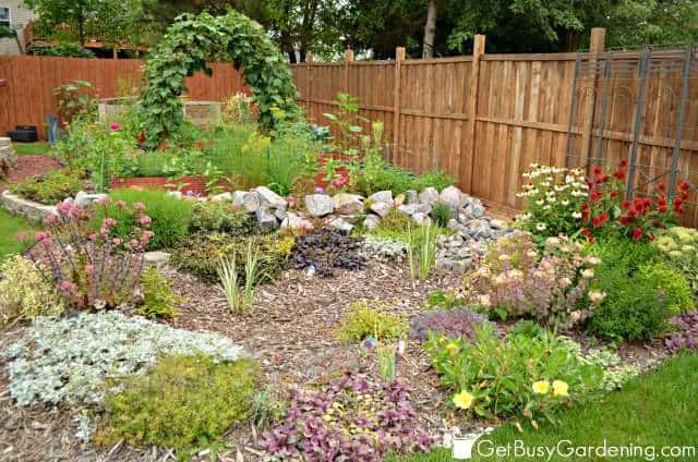 Vegetable And Rain Gardens