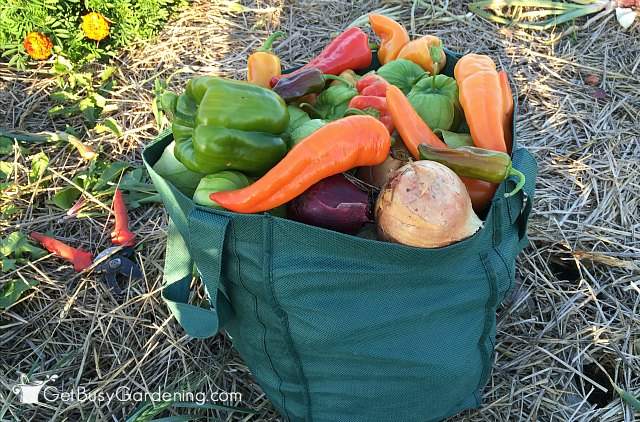 Overflowing Harvesting Bag