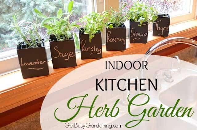 Indoor Kitchen Herb Garden