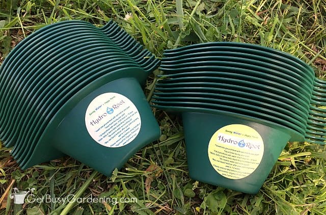 HydroRoot plant watering devices