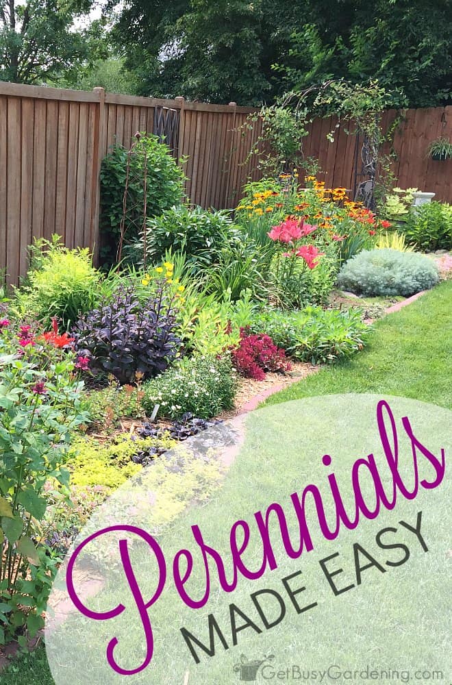 Perennials Made Easy! How To Create Amazing Gardens