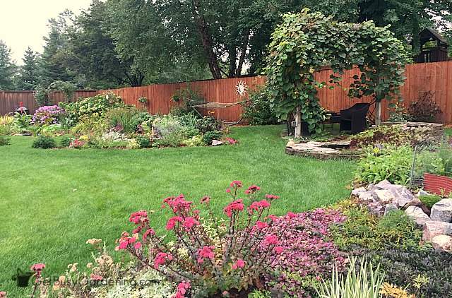 Part of my backyard and gardens