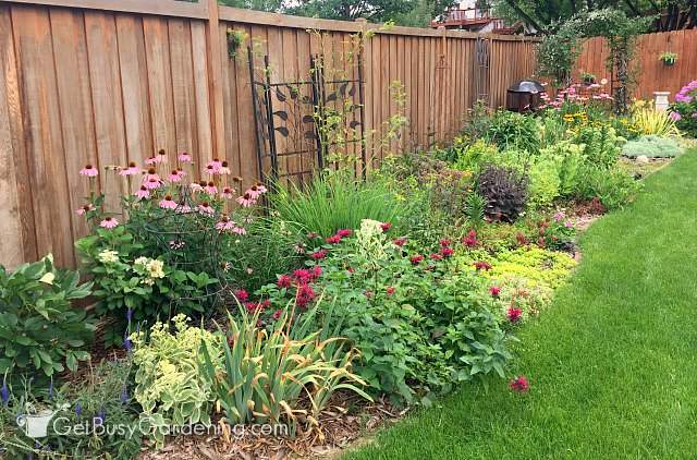 Large perennial garden