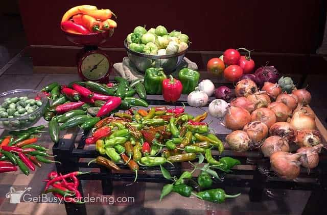 Mid summer table harvest