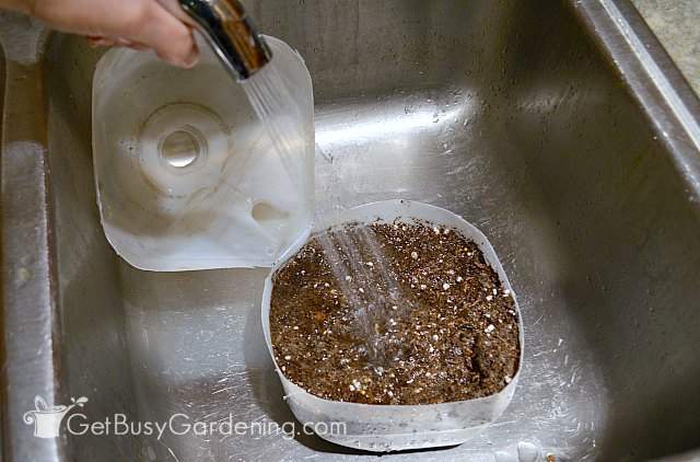 Watering my winter sown seeds.