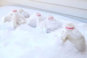 Winter sown seeds in containers covered by snow
