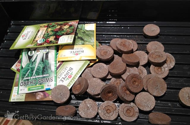 Using peat pellets to plant seeds indoors