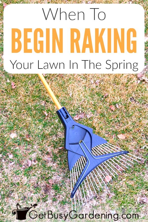 When To Begin Raking Your Lawn In The Spring