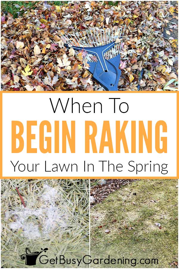 When To Begin Raking Your Lawn In The Spring