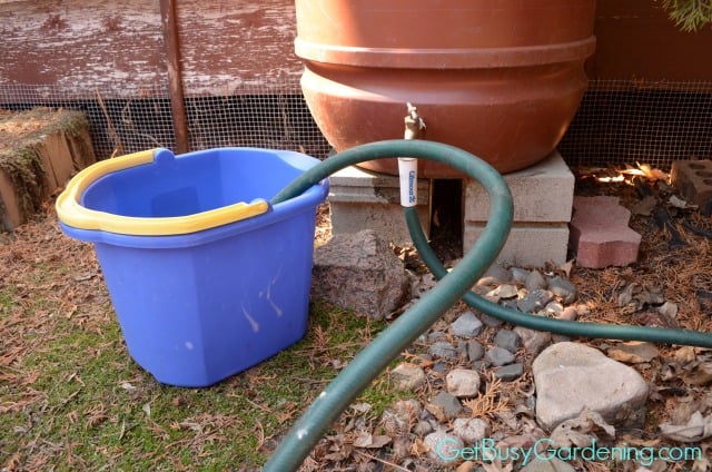 Fill Wash Bucket With Rain Water