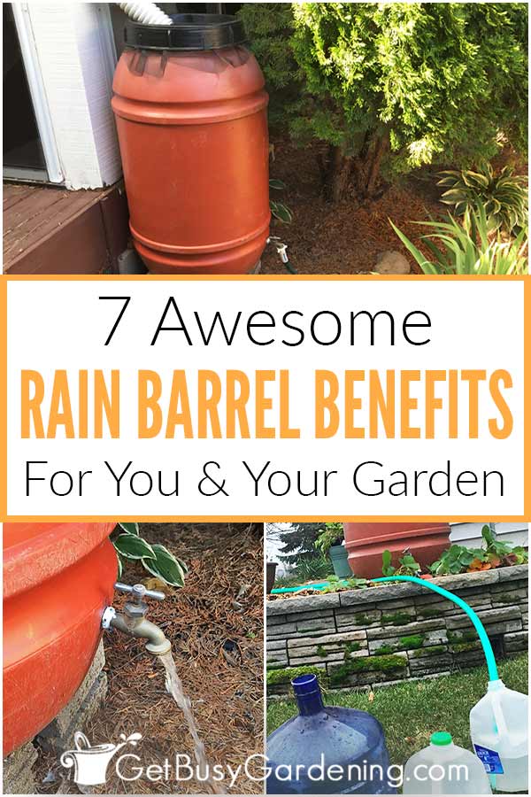 7 Awesome Rain Barrels Benefits For Your & Your Garden