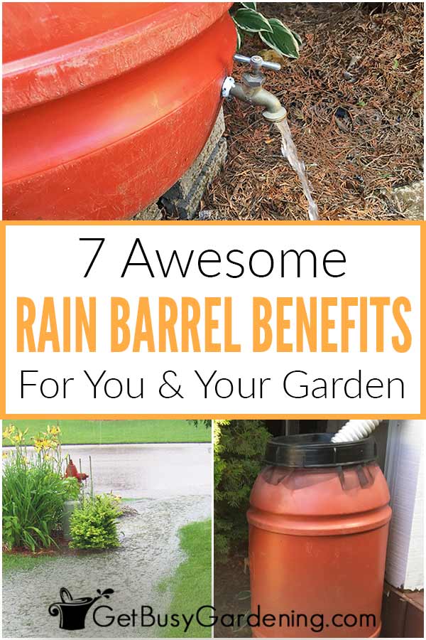 7 Awesome Rain Barrels Benefits For Your & Your Garden