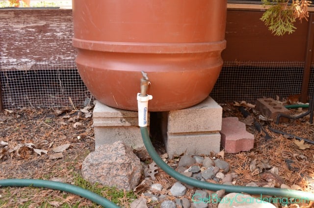 Rain Barrel Elevated WIth Hose Attached