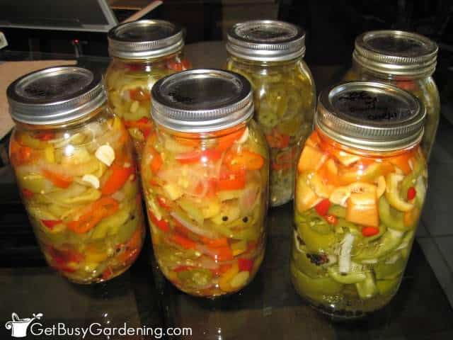 Canning Peppers