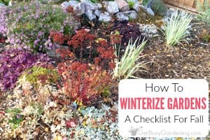 How To Winterize Your Garden In The Fall