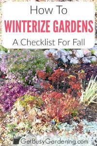 How To Winterize Your Garden In The Fall - Get Busy Gardening