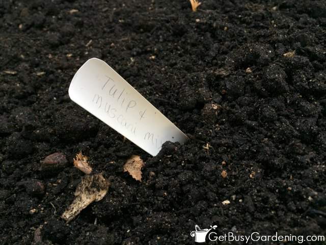 Plant Tag For Garden Bulbs