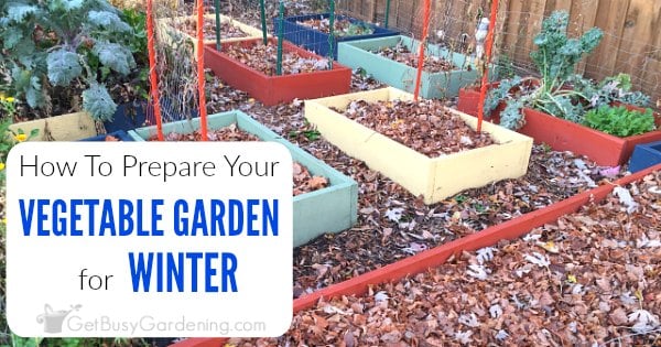 How to Prepare Your Garden for Winter