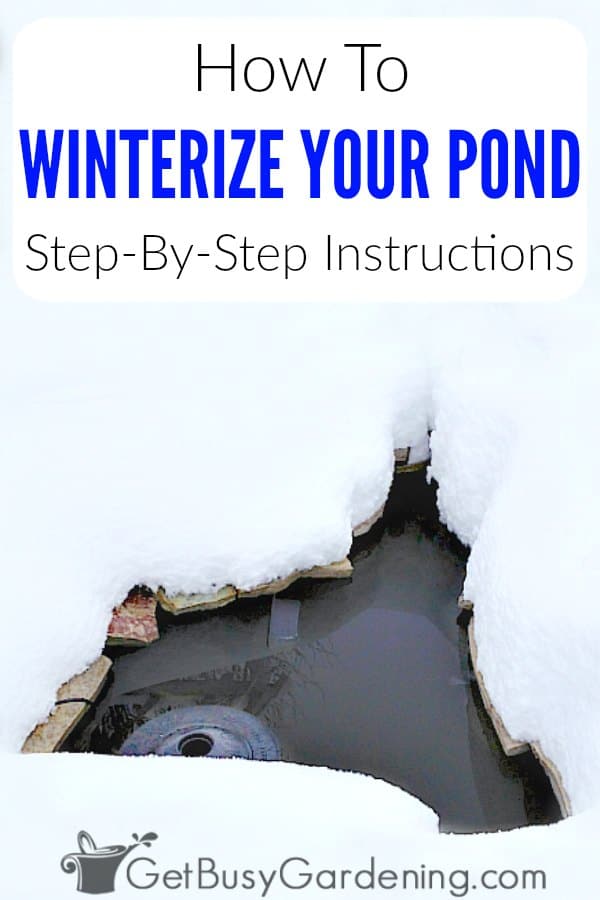 How To Winterize Your Pond: Step-By-Step Instructions