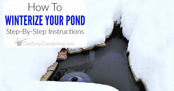 How To Winterize A Pond In 6 Easy Steps - Get Busy Gardening
