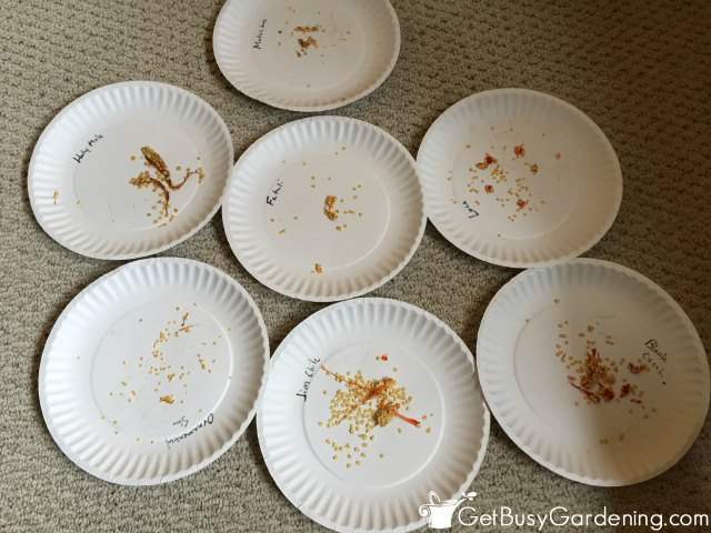 Allow Seeds To Dry Before Storing