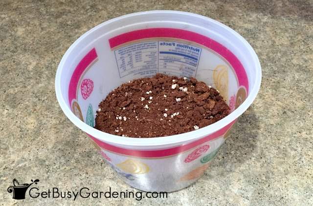Preparing a winter sowing container with no lid